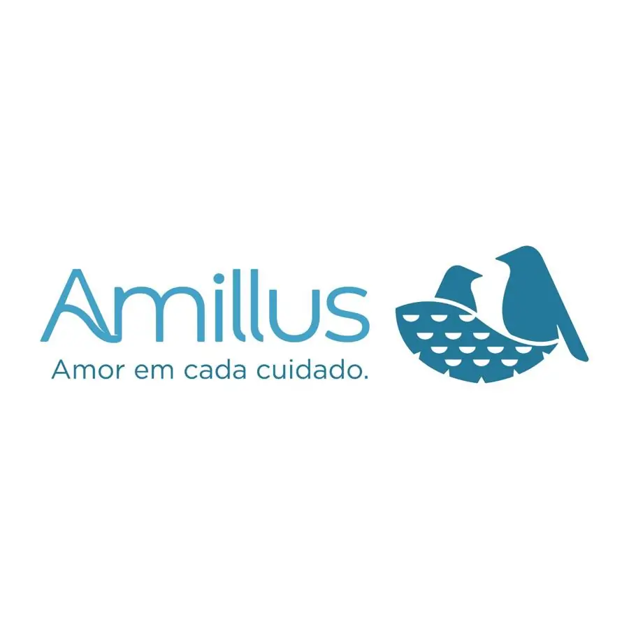 Amillus